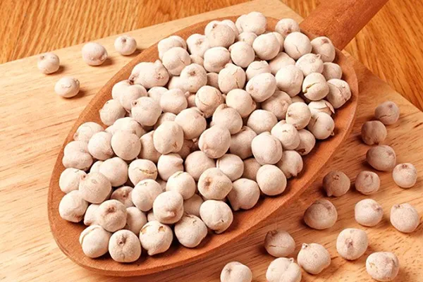 شرایط کاشت نخود اصلاح شده + خرید