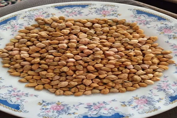 بهترین مزایای نخود کرمانشاه + قیمت خرید عالی