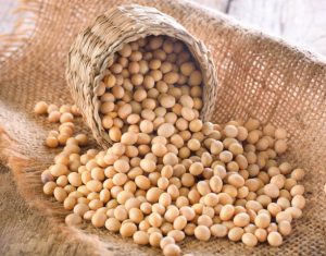 بهترین نخود درشت کرمانشاه + ارسال به سراسر کشور